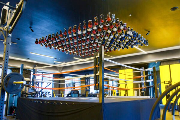 SoHo Fitness Center with a Full Size Boxing Ring