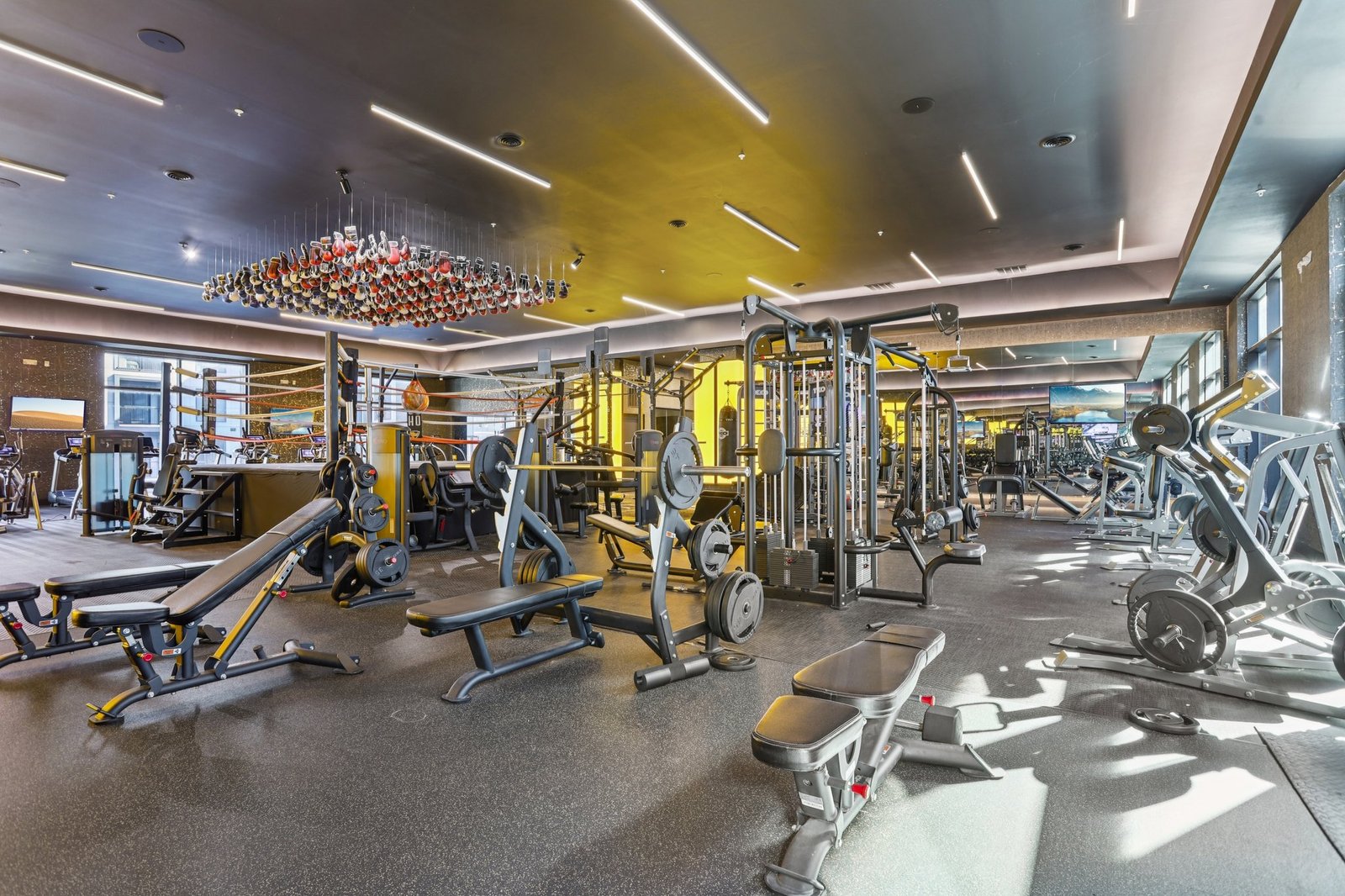 fitness center in st louis apartment